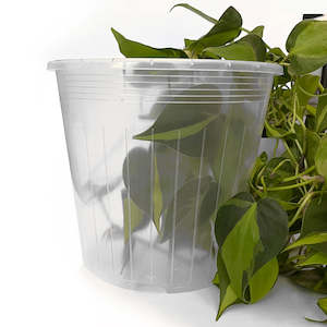 Rain 23 Clear Nursery Pot - 23cm x 20.5cm - 6L - from $3.20 each