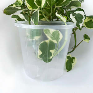 Plant, garden: Rain 14 Clear Nursery Pot - 14cm x 12.5cm - 1.3L - from 90c each