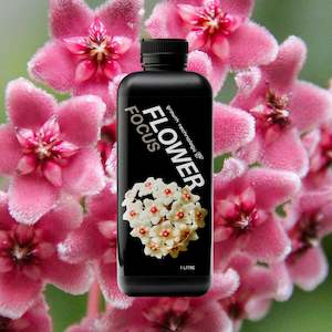 Plant, garden: Growth Technology GT FLOWER Focus - 1 litre