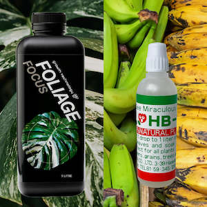 Plant, garden: GT Goes Bananas (3 products)