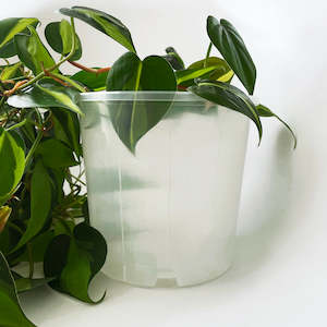 Rain 17 Clear Nursery Pot - 17cm x 15cm - 2.5L - from $1.50 each