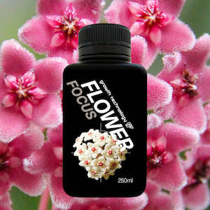 Growth Technology GT FLOWER Focus - 250ml