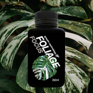 Plant, garden: Growth Technology FOLIAGE Focus - 250ml