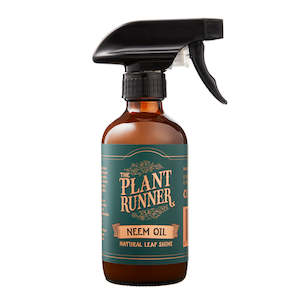 Plant, garden: Plant Runner Neem Oil Leaf Shine