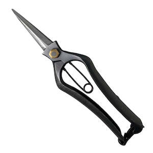 Plant, garden: Hidehisa Houseplant Shears