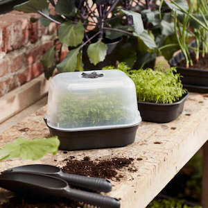 Plant, garden: Propagation - Elho Green Basics Grow House Kit - Small