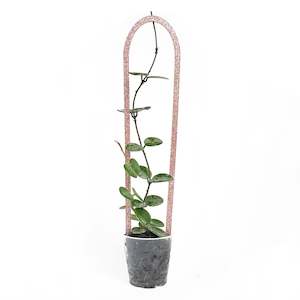 Plant, garden: Arka™ Trellis - Small/Medium - CHAMPAGNE GLITTER