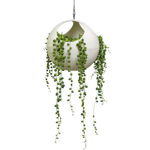 Plant, garden: Hanging Pot - Elho B.For Soft Air - White