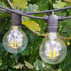 Internet only: G80 Clear Bulb | 10m 20 Bulbs | Flush Mount Dimmable Festoon Lights