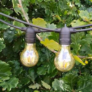 A19 Amber Bulb | 5m 10 Bulbs | Flush Mount Dimmable Festoon Lights