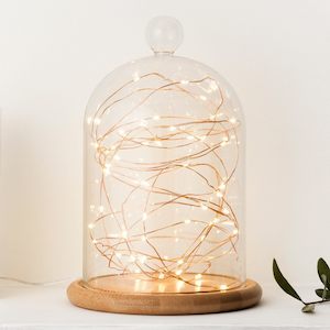 Copper 5m Fairy Lights | Warm White | AA Battery | Decorative Indoor