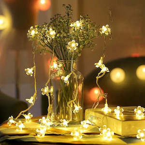 Flower Fairy Lights | 10m Clear PVC Cable | Core Series