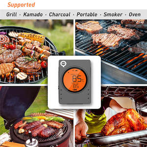 PureQ Sentinel Bluetooth Smart Thermometer