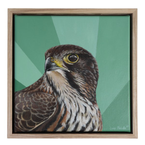 Magestic Hunter' Kārearea Painting