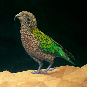 Twinkle Toes' Kea Limited Edition Print