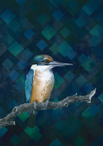 Creative art: Kenny' Kingfisher Limited Edition Print