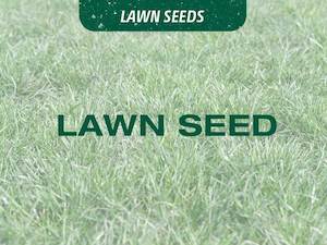 Lawn seeds