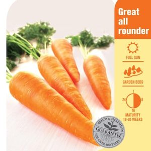 Seed Carrot ‘Egmont Gold’