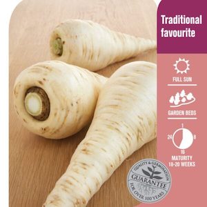 Seed Parsnip ‘Hollow Crown’