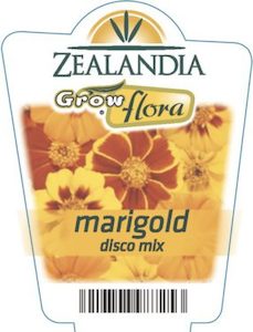 Marigold ‘Disco Mix’ 6pack