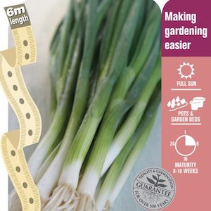 Seed Tape Spring Onion