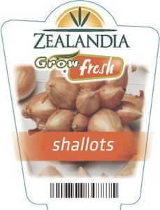 Shallots 6pack