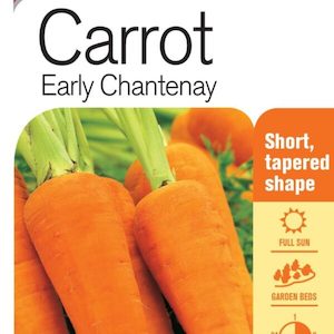 Seed Carrot ‘King Early Chantenay’