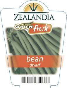 Garden supply: Bean ‘Dwarf’ 6Pack