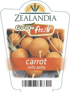 Carrot ‘Rolly Polly’ 6pack