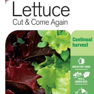 Seed Lettuce ‘Cut & Come Again’