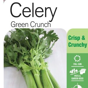 Seed Celery ‘Greencrunch’