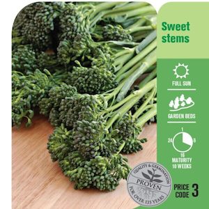 Garden supply: Seed Sprout ‘Broccoli Sticcoli’