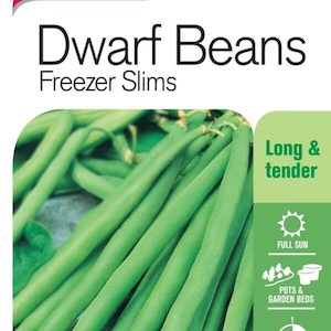 Seed Beans ‘Dwarf Freezer Slims’