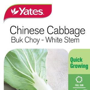 Seed Chinese Cabbage ‘Buk Choy’