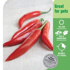 Seed Chilli Pepper ‘ Red Cayenne’