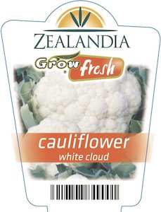 Garden supply: Cauliflower-White-Cloud-6pack