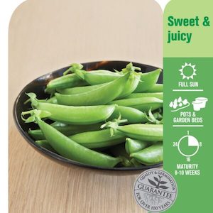 Garden supply: Seed Peas ‘Sugarsnap Climbing’