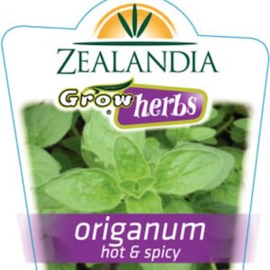 Garden supply: Herbs Origanum ‘Hot & Spicy’ 10cm pot