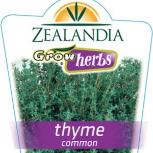 Thyme ‘Common’ Herb 10cm pot