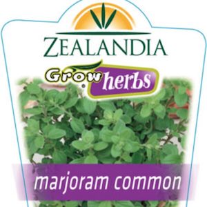 Marjoram ‘Common’ Herb 10m pot