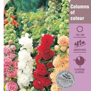 Garden supply: Seed Hollyhock ‘Double Elegance’