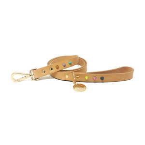 Dog Accessories: Spike Leather Leash | Pastel Party