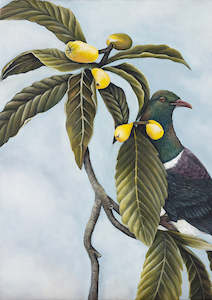 Prints: Kererū in the Loquat Tree Print