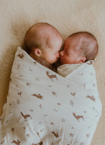 Clothing accessory: Organic Swaddle - Woodlands