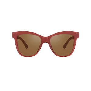 Clothing accessory: Polarized Adult Wayfarer Sunglasses - Cinnamon