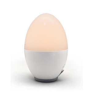 Rechargeable USB Night Light - EGG