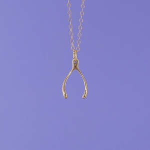 Mini Charming Necklace - Golden Wishbone