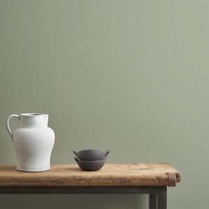 Annie Sloan Wall Paint - Terre Verte