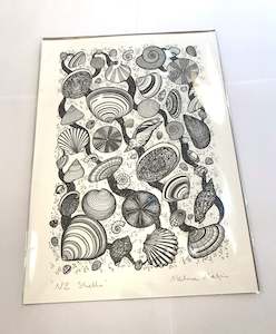 Creative art: "NZ Shells" A4 Print