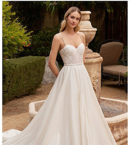 Products: Sophie Madison Rose Bridal NZ an affordable and stunning wedding dress with corset bodice, circular skirt with train